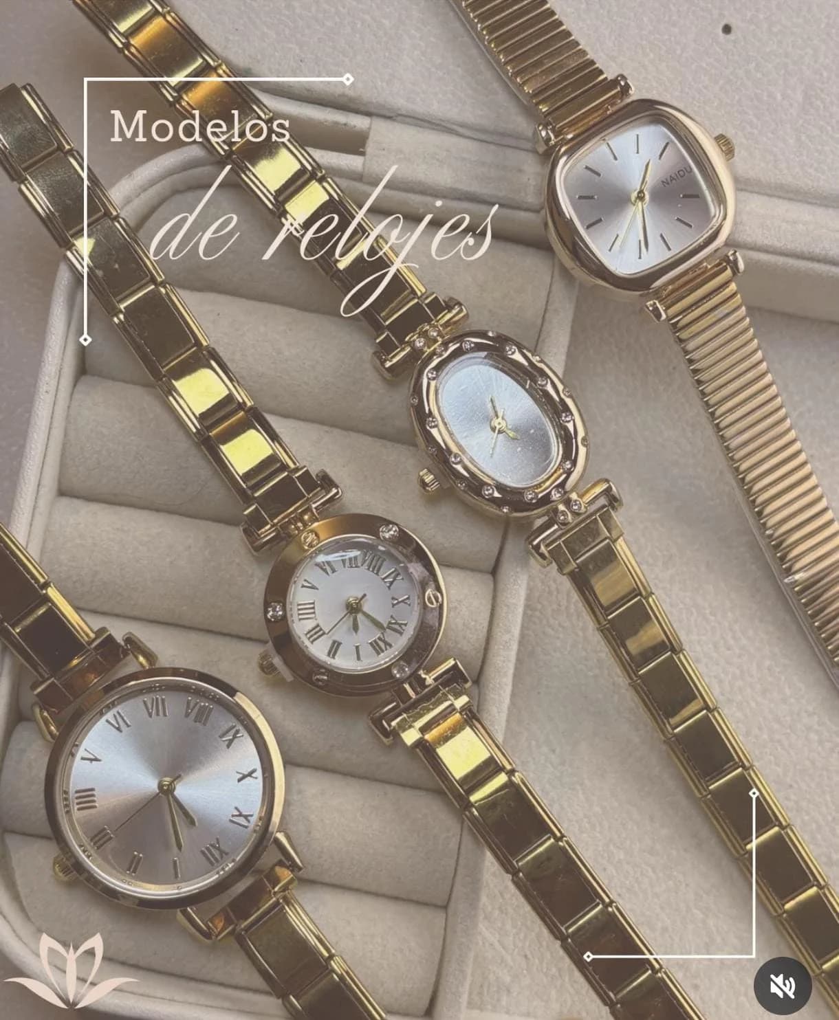 Colección de relojes